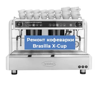 Чистка кофемашины Brasilia X-Cup от накипи в Москве